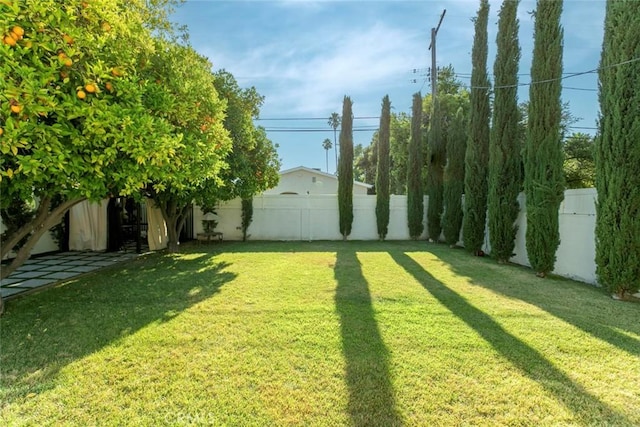 6709 Mammoth Ave, Valley Glen, CA 91405 - photo 49