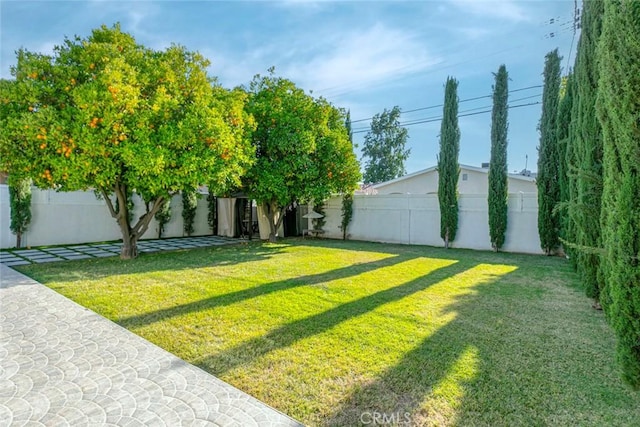 6709 Mammoth Ave, Valley Glen, CA 91405 - photo 48