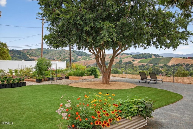 35 Monte Via, Oak View, CA 93022 - photo 22