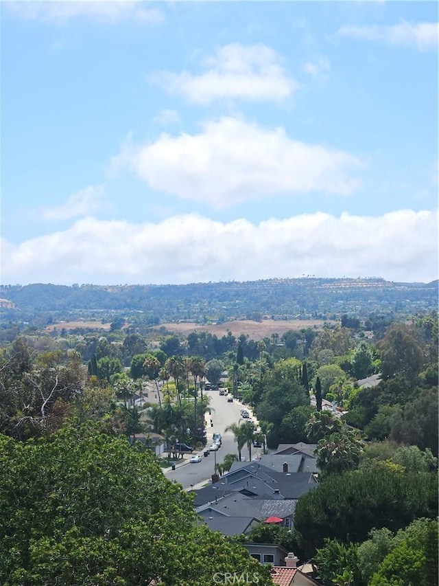 25602 Paseo La Vis, Laguna Niguel, CA 92677 - photo 19