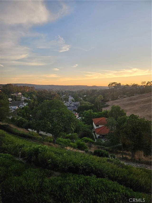 25602 Paseo La Vis, Laguna Niguel, CA 92677 - photo 26