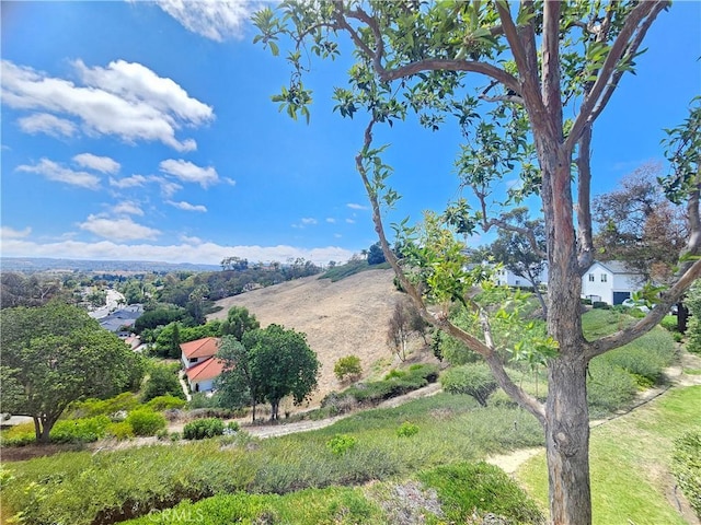 25602 Paseo La Vis, Laguna Niguel, CA 92677 - photo 22