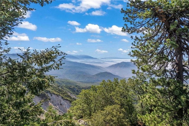 26419 Apache Trl, Rimforest, CA 92378 - photo 53