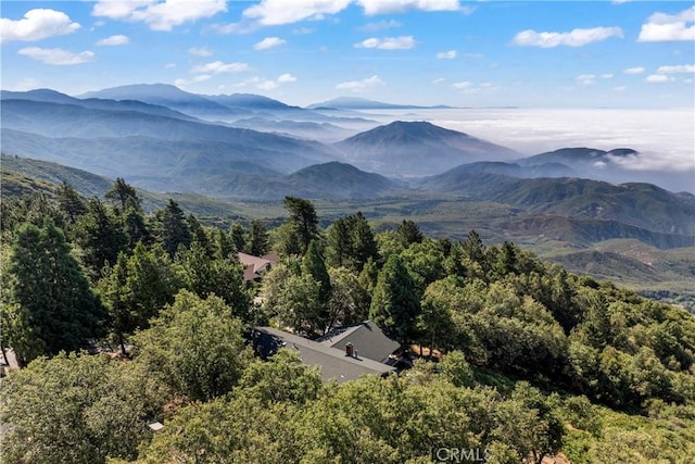 26419 Apache Trl, Rimforest, CA 92378 - photo 52
