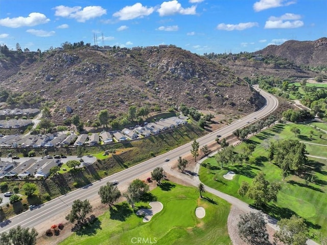 1117 Bitterbush Ln, El Cajon, CA 92019 - photo 59