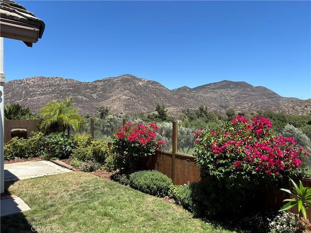 1117 Bitterbush Ln, El Cajon, CA 92019 - photo 62