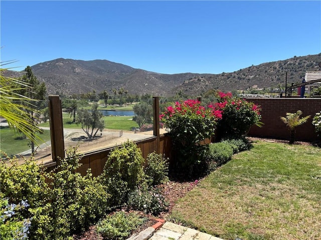 1117 Bitterbush Ln, El Cajon, CA 92019 - photo 64