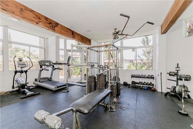 330 S Miraleste Dr Unit 216, San Pedro, CA 90732 - photo 22