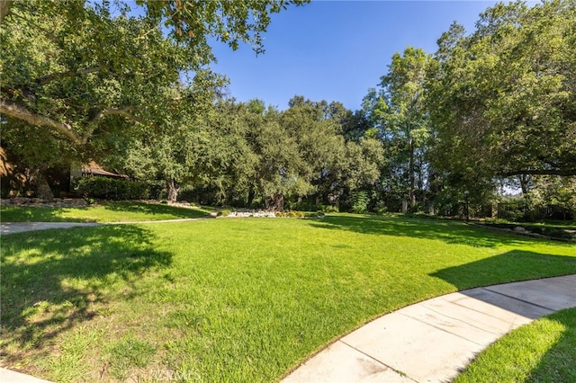 444 Heatherglen Ln, San Dimas, CA 91773 - photo 41