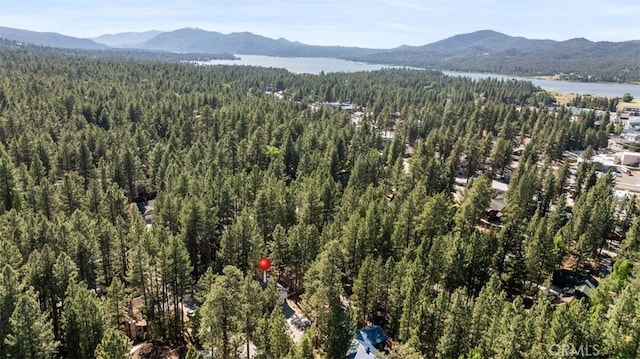 624 Vail Ln, Big Bear Lake, CA 92315 - photo 3