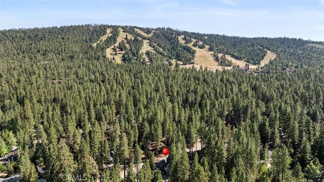 624 Vail Ln, Big Bear Lake, CA 92315 - photo 2