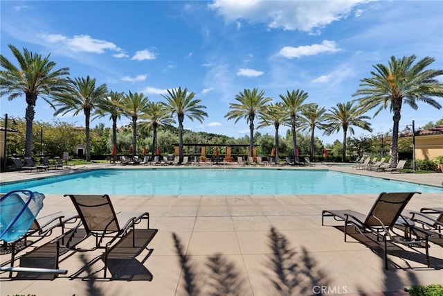 52 Quarter Horse, Irvine, CA 92602 - photo 27