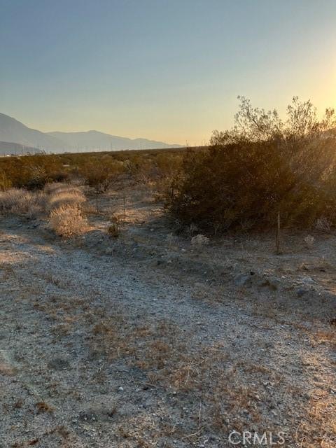 13329 Fremontia Rd, Whitewater, CA 92282 - photo 5