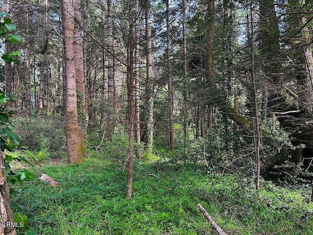 10435 Clark St, Mendocino, CA 95460 - photo 2