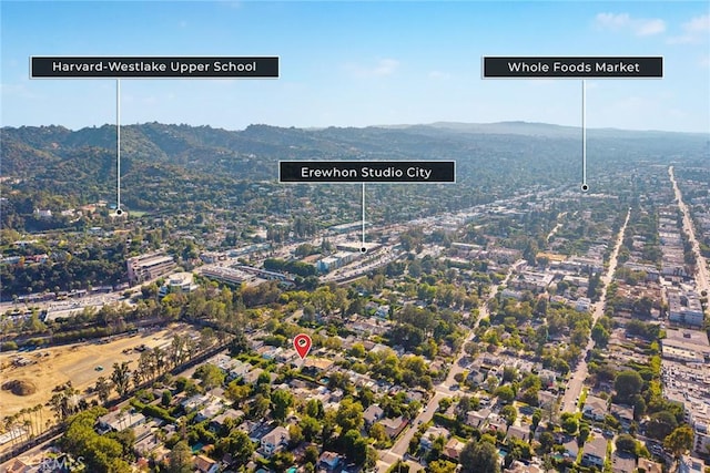 4220 Bellaire Ave, Studio City, CA 91604 - photo 37