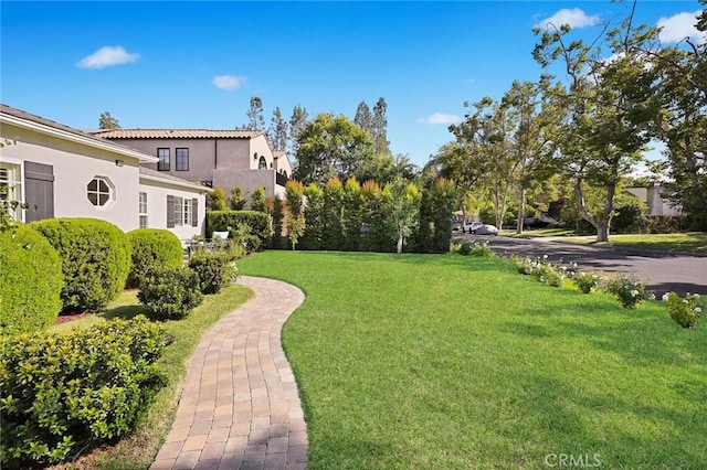 4220 Bellaire Ave, Studio City, CA 91604 - photo 2