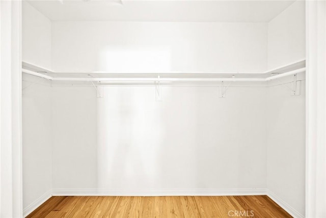 4220 Bellaire Ave, Studio City, CA 91604 - photo 19