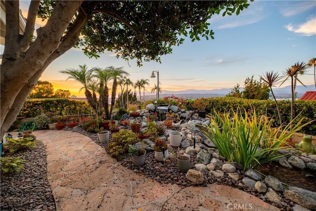 1954 Mairemont Dr, Walnut, CA 91789 - photo 40