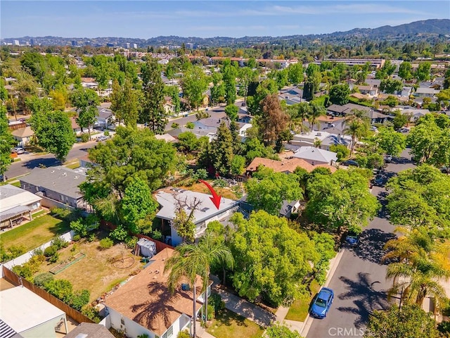 5762 Andasol Ave, Encino, CA 91316 - photo 41