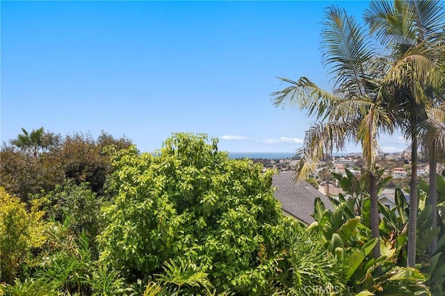 611 Calle Embocadura, San Clemente, CA 92673 - photo 50