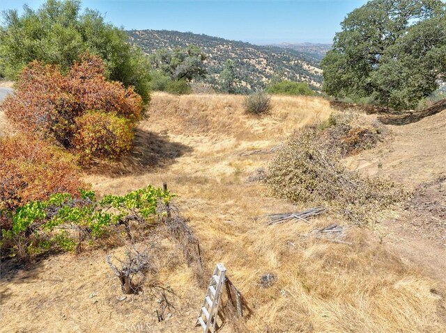 37876 Rd 600, Raymond, CA 93653 - photo 42