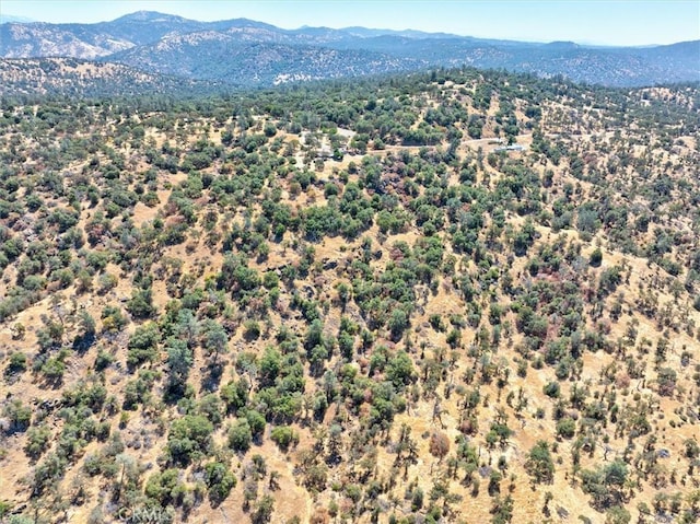 37876 Rd 600, Raymond, CA 93653 - photo 36