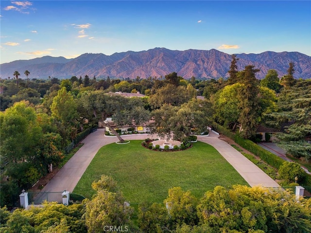 1115 W Foothill Blvd, Arcadia, CA 91006 - photo 3