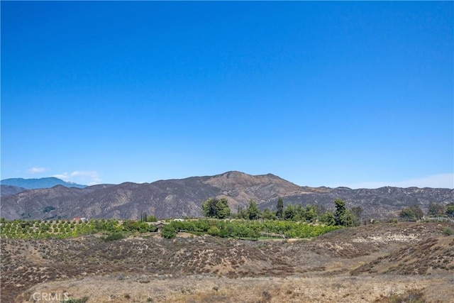 44576 Frogs Leap St, Temecula, CA 92592 - photo 38