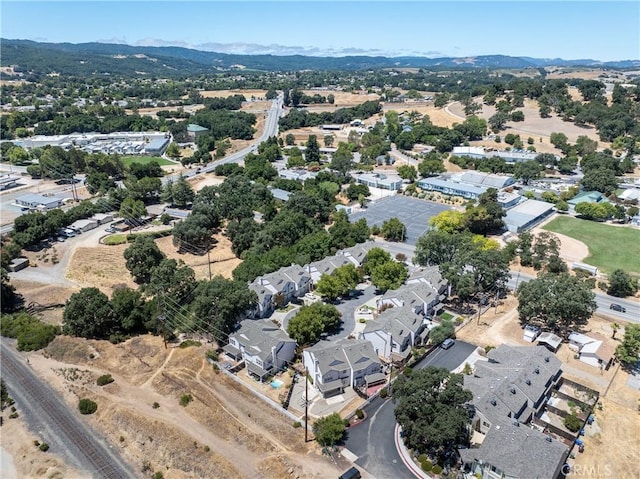 30 Corrietta Ct, Templeton, CA 93465 - photo 40