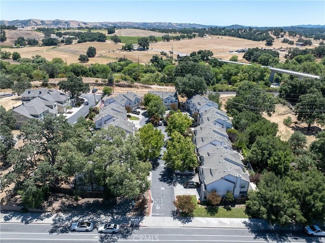 30 Corrietta Ct, Templeton, CA 93465 - photo 35
