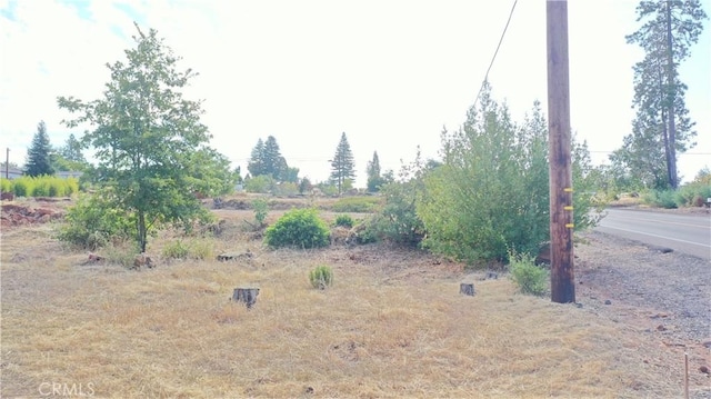 829 Pearson Rd, Paradise, CA 95969 - photo 3