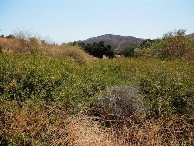 0B Hemlock St, Wildomar, CA 92584 - photo 8