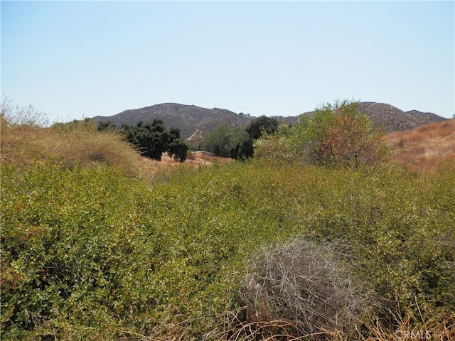 0B Hemlock St, Wildomar, CA 92584 - photo 11