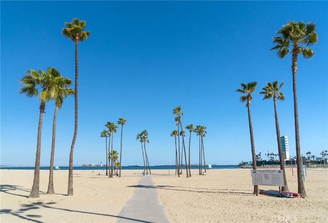 326 Hermosa Ave Unit 7, Long Beach, CA 90802 - photo 29