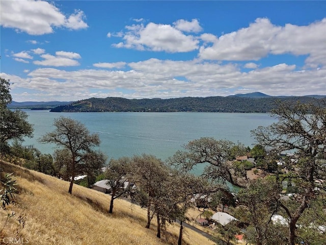 13050 Carter Ln Unit 1, Clearlake, CA 95422 - photo 31