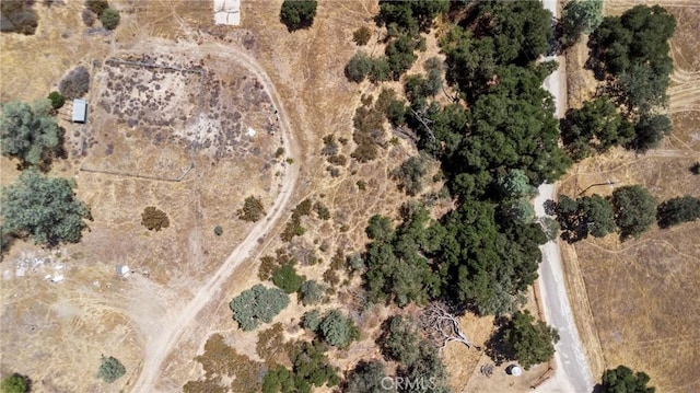 4281 Blue Rd, Creston, CA 93432 - photo 43