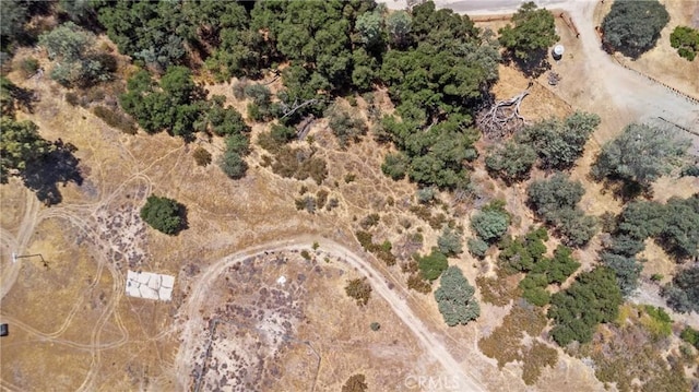 4281 Blue Rd, Creston, CA 93432 - photo 47