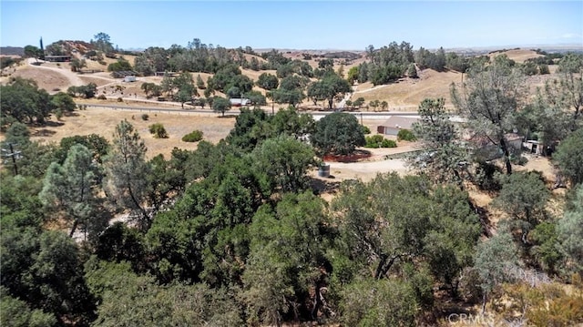 4281 Blue Rd, Creston, CA 93432 - photo 45