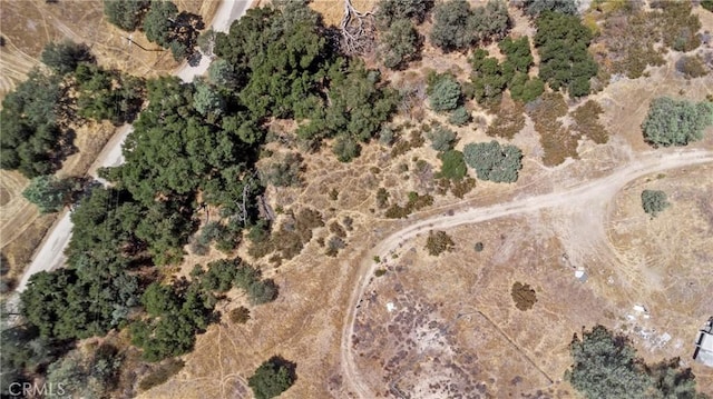 4281 Blue Rd, Creston, CA 93432 - photo 42
