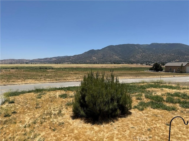 18901 Pinehurst Pl, Tehachapi, CA 93561 - photo 20