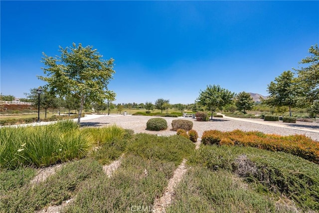 12010 Santiam Ct, Jurupa Valley, CA 91752 - photo 41