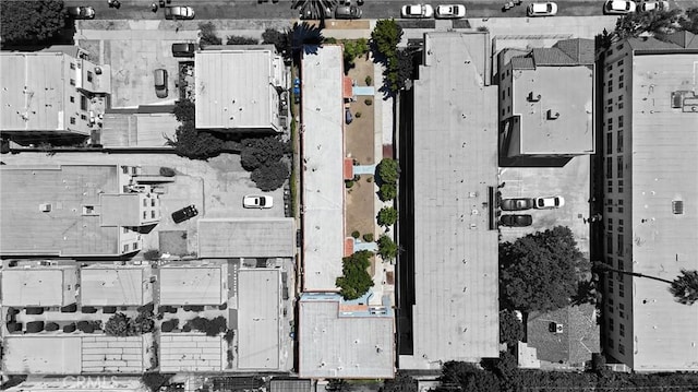 1845 N New Hampshire Ave, Los Angeles, CA 90027 - photo 17