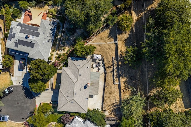 4600 Edelle Pl, Los Angeles, CA 90032 - photo 26