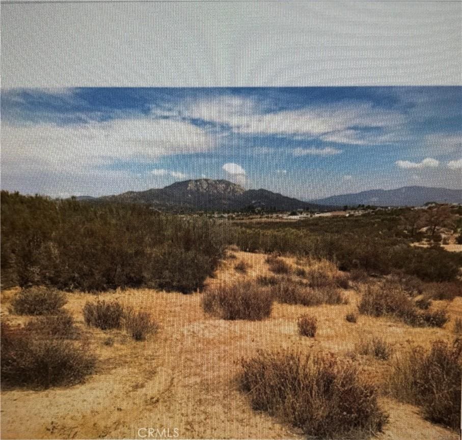 723 Arroyo Way, Aguanga, CA 92536 - photo 1