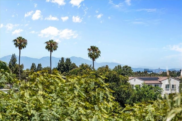 401 Bernard St Unit 406, Costa Mesa, CA 92627 - photo 29