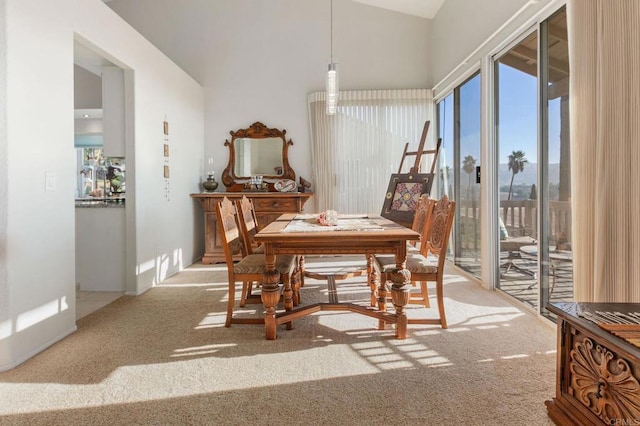 64 Via Casitas, Bonsall, CA 92003 - photo 8