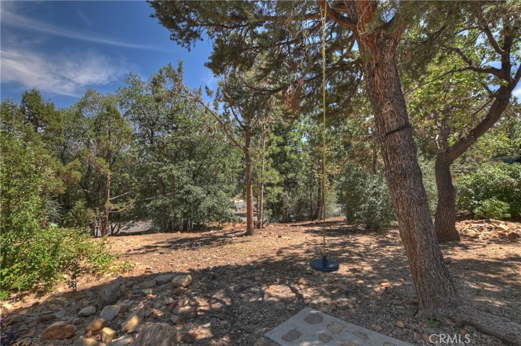 0 Spruce Ln, Sugarloaf, CA 92386 - photo 1