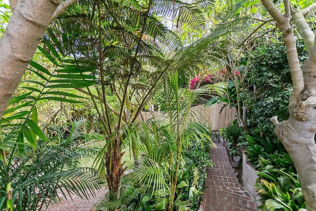31867 8th Ave, Laguna Beach, CA 92651 - photo 18