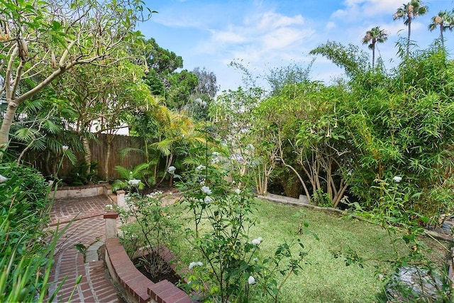 31867 8th Ave, Laguna Beach, CA 92651 - photo 19