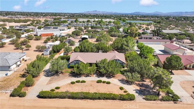 17168 Ryeland Rd, Hesperia, CA 92345 - photo 47